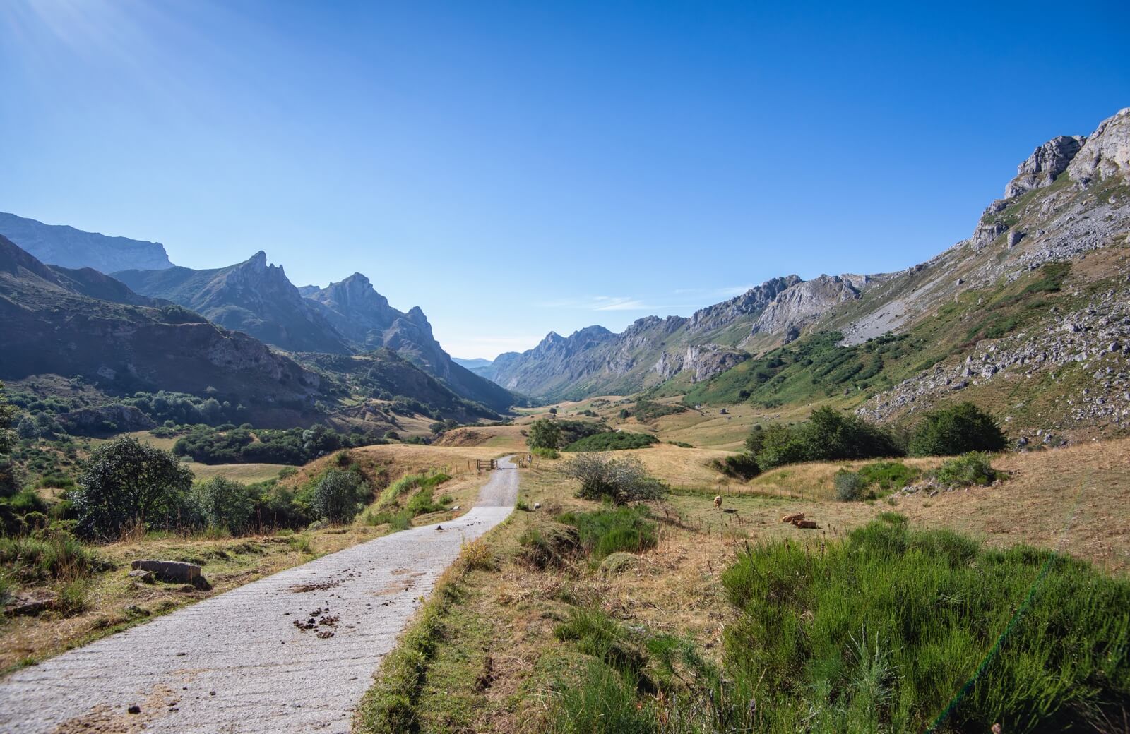 Somiedo, un lugar especial para los amantes de la naturaleza