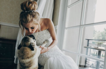 Formas de incluir a las mascotas en las bodas: ¡son un miembro más!