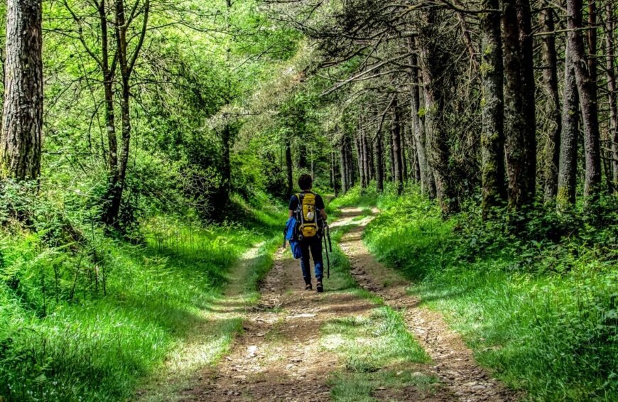Ruta del Alba en Asturias: caminata primaveral de gran belleza