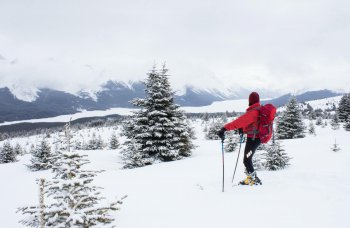 7 planes para disfrutar de la nieve en Asturias